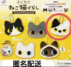 2025年最新】ふじひとねこ猫くらしフェイスマスコットの人気