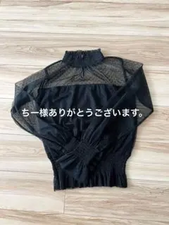 美品　Heather チュールドットトップス