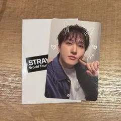 straykids runit popup 1万円特典 チャンビン