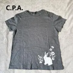 C.P.A. ウサギプリント グレー TシャツサイズL