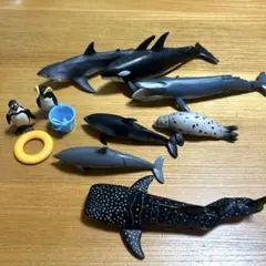 アニア　海の生き物　水族館　シャチ　サメ　イルカ　ペンギン　アザラシ　クジラのサムネイル