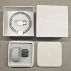 【超希少】初代 AppleWatch MJ3F2J/A 文字盤&付属品