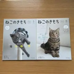 Item thumbnail for item 3f08a507-3841-485e-98c1-fbdd48155fe2