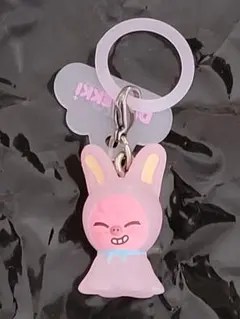 stray kids スキズ　skzoo めじるしアクセサリー　トゥエッキ