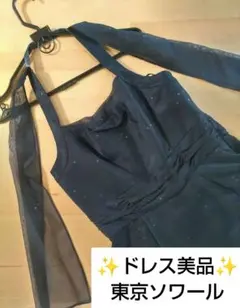 東京ソワール 美品 大幅値下 ココラッシー パーティードレス L 11号
