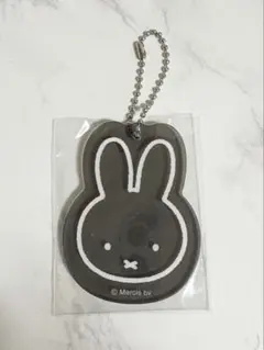 Item thumbnail for item e8e2b232-97fd-47c7-9941-4fb16acb15a4