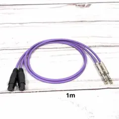 CANARE L-4E6S XLR TRS ケーブル 1m 2本セット - メルカリ