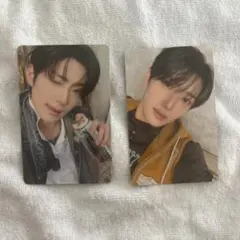 ALD1 サンヒョントレカ