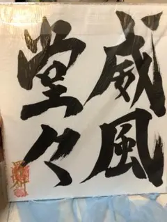 ポルノグラフィティ チャリティー 一生懸命 幕 - メルカリ