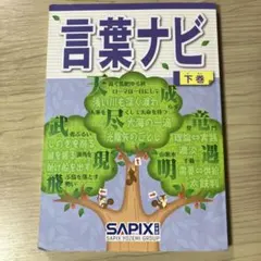 ほぼ書込み無し 言葉ナビ コアプラス 他　SAPIX テキスト10冊セット ほぼ書込み無し 言葉ナビ コアプラス 他 SAPIX テキスト10冊セット