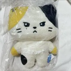 2025年最新】Zeroni ぬいぐるみ フラットの人気アイテム - メルカリ