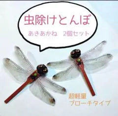 Item thumbnail for item 1bf5485e-58b7-4e23-a49c-6452e05eeeee