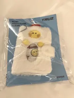 TREASURE truz minini ジフン　コレクトブック　トレカケース