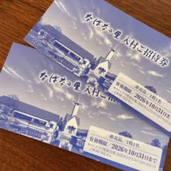 なばなの里入村券 2枚