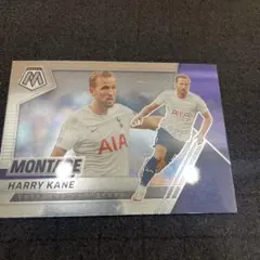 Harry Kane Panini Mosaic Montage