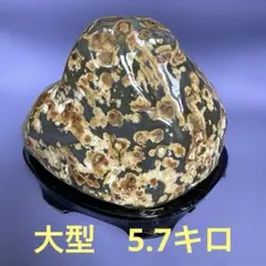 2026年最新】水石の人気アイテム - メルカリ