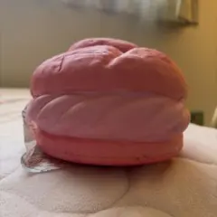 スクイーズ ストロベリー シュークリーム