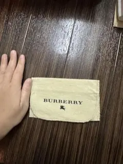 BURBERRY フラグメントケース ベージュ