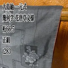 大島紬 一元式 幾何学 花唐草文様 裄66.5 正絹 t283
