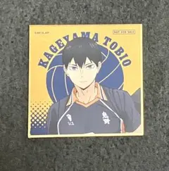 ハイキュー 孤爪研磨 思い出スナップフォトカード ブロマイド チェキ