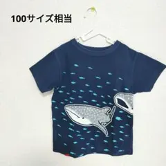 OJICO ジンベエザメ Tシャツ 6A ネイビーのサムネイル