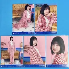 乃木坂46 五百城茉央 生写真 14周年記念 アニバ 5種コンプ 14th 乃木坂46 五百城茉央 生写真 14周年記念 アニバ 5種コンプ 14th - メルカリ