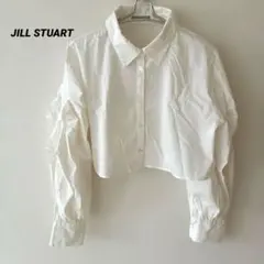 JILL STUART ホワイト　クロップド丈　長袖　シャツ　ブラウスのサムネイル