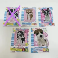 ［part 2 ］ワンタメ　パピーカード【バラ売り可】のサムネイル