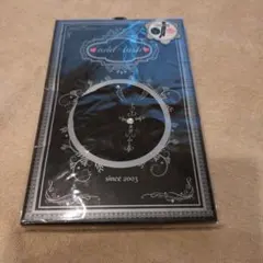 ストッキング