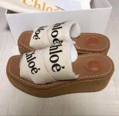 Item thumbnail for item df40093f-f4ab-487d-a131-1cf9c475ef41