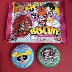 【匿名配送】 新品　パワーパフガールズ　刺繍缶バッジ　2点