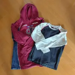 チャンピオントレーナー