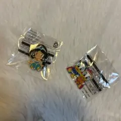 ディズニーランド ピンズ・チャーム