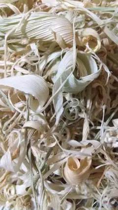 まー(’-’*)♪様 リクエスト 2点 まとめ商品