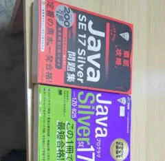 Java SE 17 Silver 徹底攻略 問題集 2冊セットのサムネイル