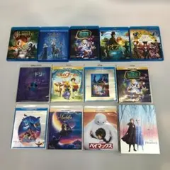 ブルーレイ Disney 13作まとめ アナ雪 ドリー ベイマックス アラジン等 