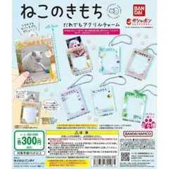 A-35　コンプ　ねこのきもち だれでもアクリルチャーム　全6種　猫　ねこ　ネコ