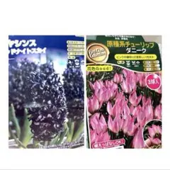 あっこちん様 リクエスト 2点 まとめ商品