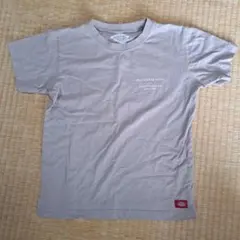 子供用 Dickies ベージュ Tシャツ 140サイズ