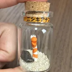 Item thumbnail for item 2dbc6133-57e6-4707-8631-ba736f1cf8d8