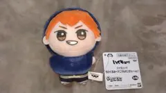 ハイキュー!! ちびぐるみ アニマルポンチョ vol.1 日向翔陽