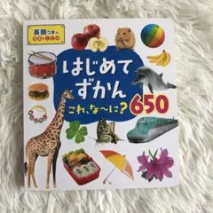 はじめてずかん　これ、な〜に？650