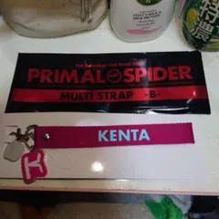 28418 THE RAMPAGE　神谷健太さんマルチストラップ新品