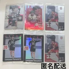 バレーボール 日本代表 ウエハース レア ノーマル トレカ 山本智大 小川智大