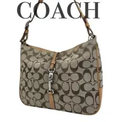 2026年最新】COACH 6091の人気アイテム - メルカリ