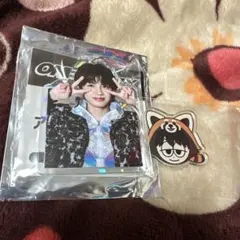 ぴちゅ様 リクエスト 2点 まとめ商品