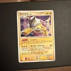 ライコウ LV.42 - メルカリ