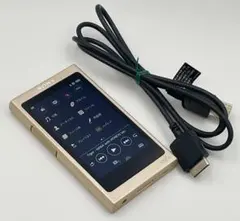 バッテリー良好！　SONY WALKMAN NW-A45 16GB