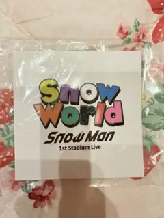 Snow Word ロゴ　1st Stadium Live 台紙　渡辺翔太