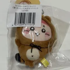 24時間以内発送　たぬきだもんくじ C賞　ぜったいたぬきなマスコット　古本屋